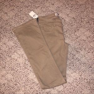 Hollister Khaki Bootcut pants